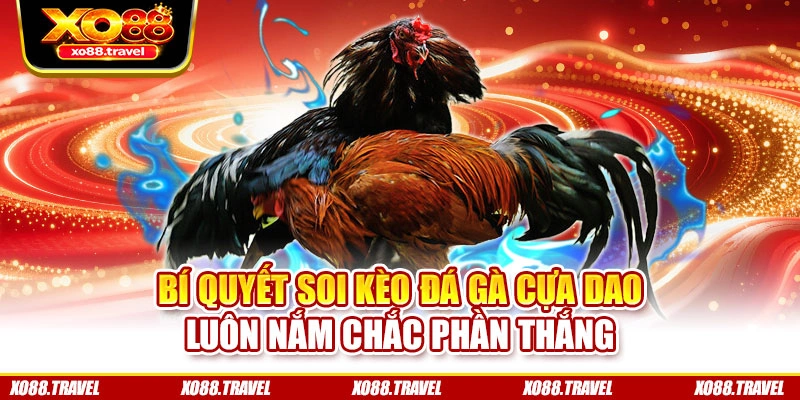 Bí quyết soi kèo đá gà cựa dao luôn nắm chắc phần thắng