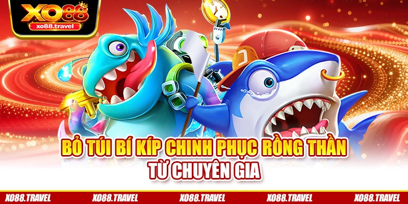 Bỏ túi bí kíp chinh phục Rồng Thần từ chuyên gia