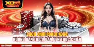 Cách Chơi Poker XO88 - Hướng Dẫn Từ Cơ Bản Đến Thực Chiến