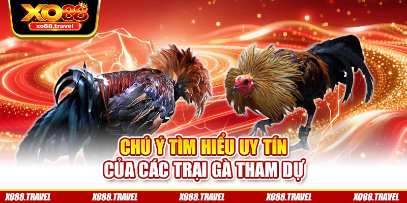 Chú ý tìm hiểu uy tín của các trại gà tham dự