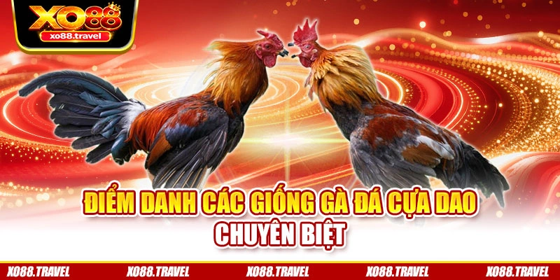 Điểm danh các giống gà đá cựa dao chuyên biệt