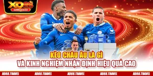 Kèo Châu Âu Là Gì Và Kinh Nghiệm Nhận Định Hiệu Quả Cao