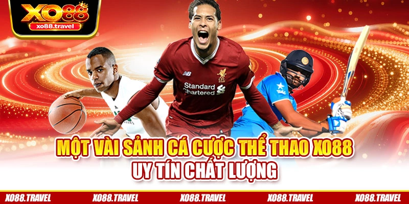 Một vài sảnh cá cược thể thao XO88 uy tín chất lượng