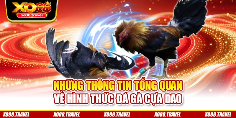 Những thông tin tổng quan về hình thức đá gà cựa dao