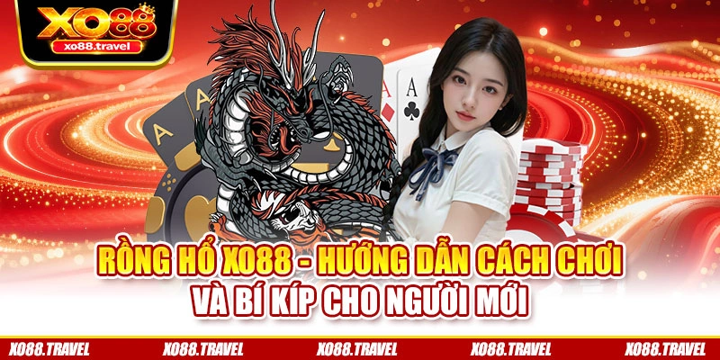 Rồng Hổ XO88 - Hướng Dẫn Cách Chơi Và Bí Kíp Cho Người Mới